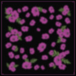 bandana-blur purple Isla scarf in pink poppies